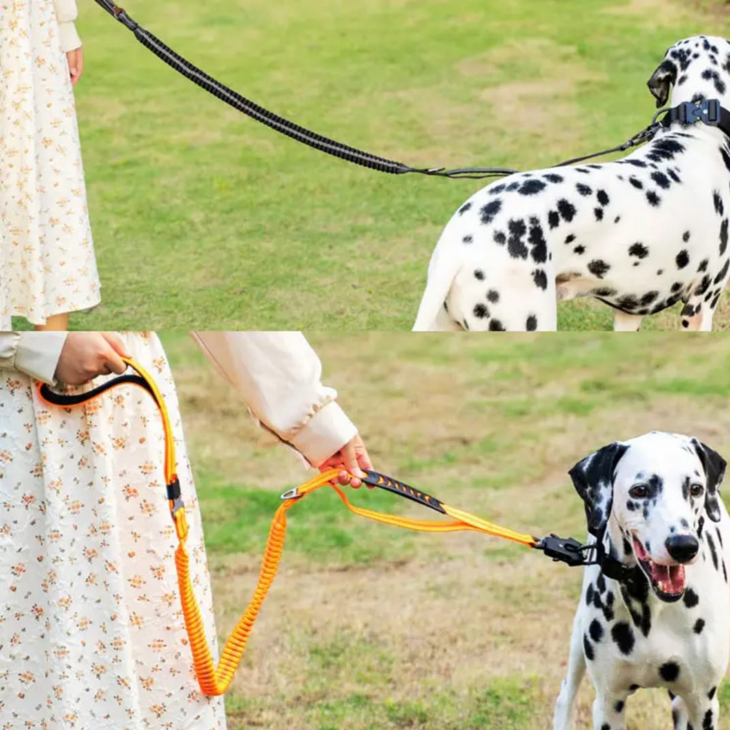 corra para perro PREMIUM con collar táctico hebilla metálica de liberación rápida