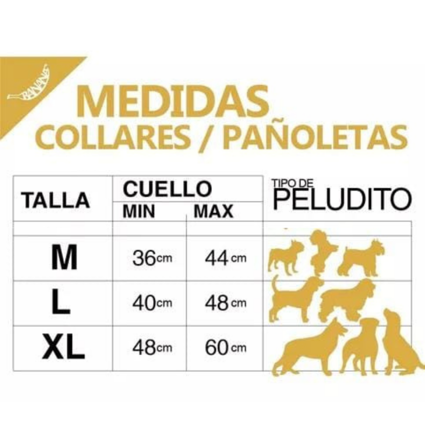 Collar Táctico para Perros con Doble Hebilla Metálica – Nylon Militar 1050D, Ajustable y Transpirable con Sistema MOLLE
