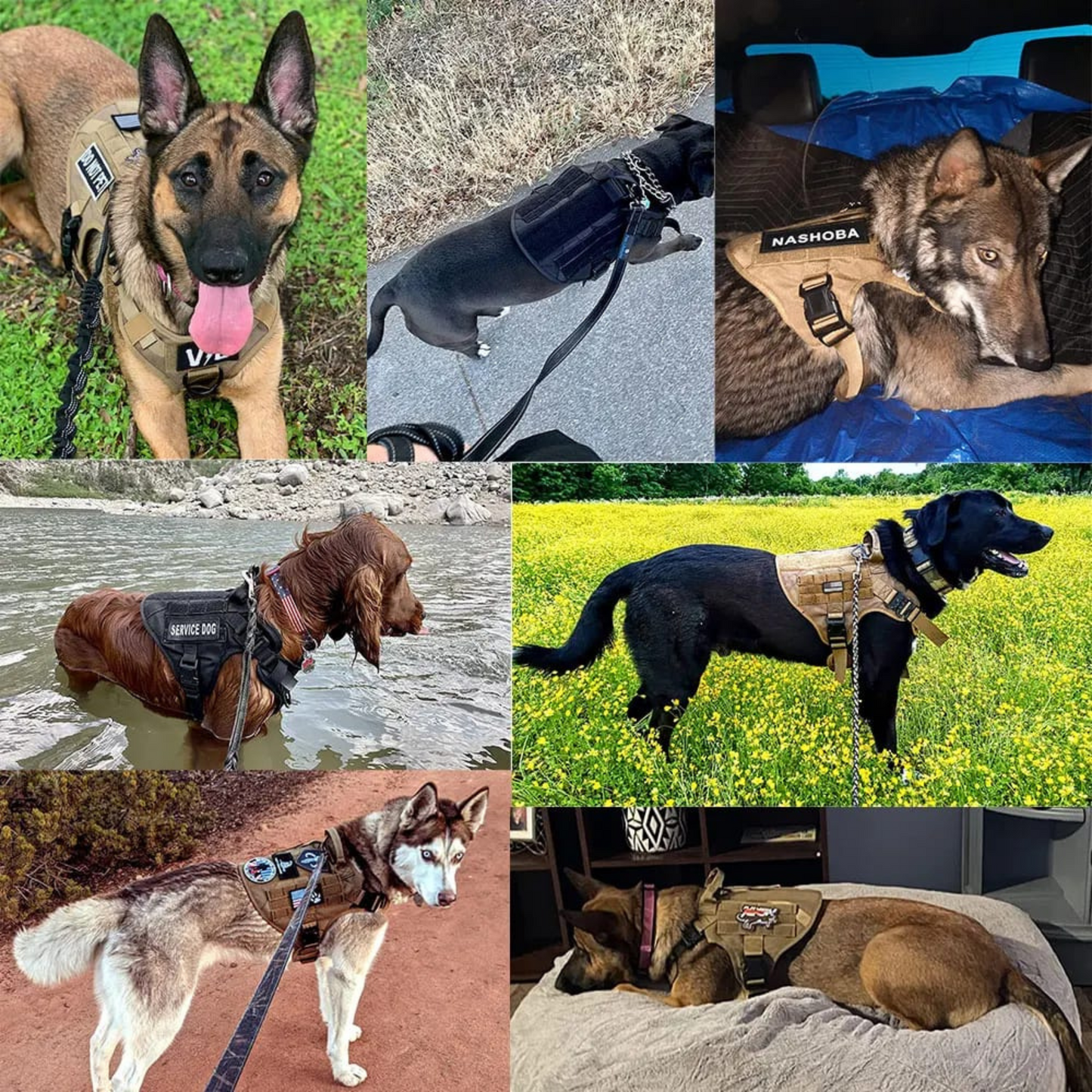 arnés pechera para perro grande y mediano táctico duradero con correa