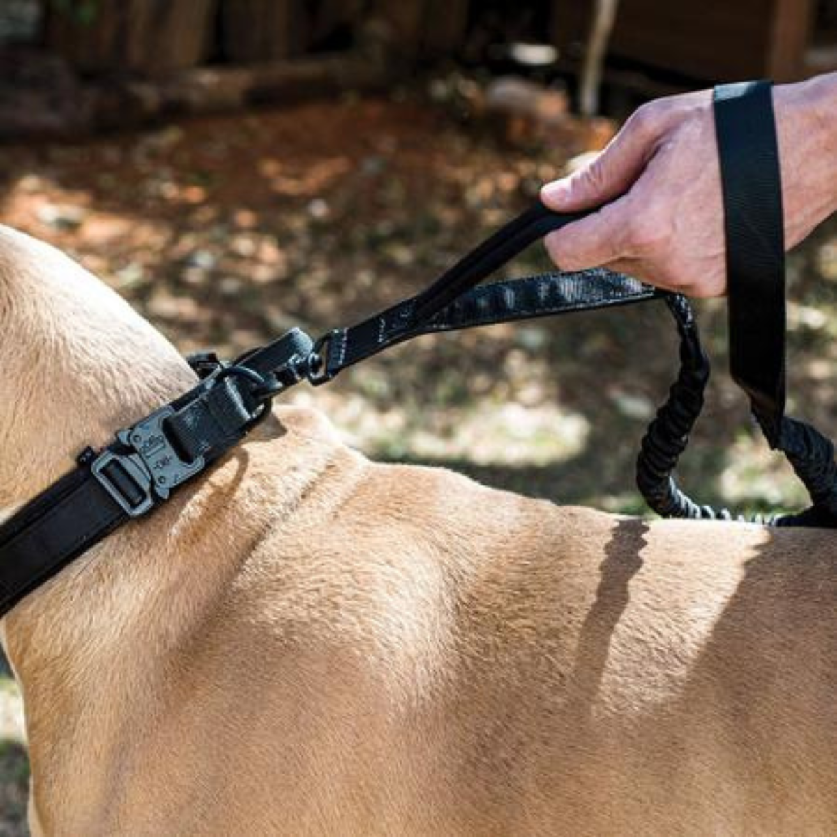 correa para perro de nailon antitirones táctica mosquetón en aluminio