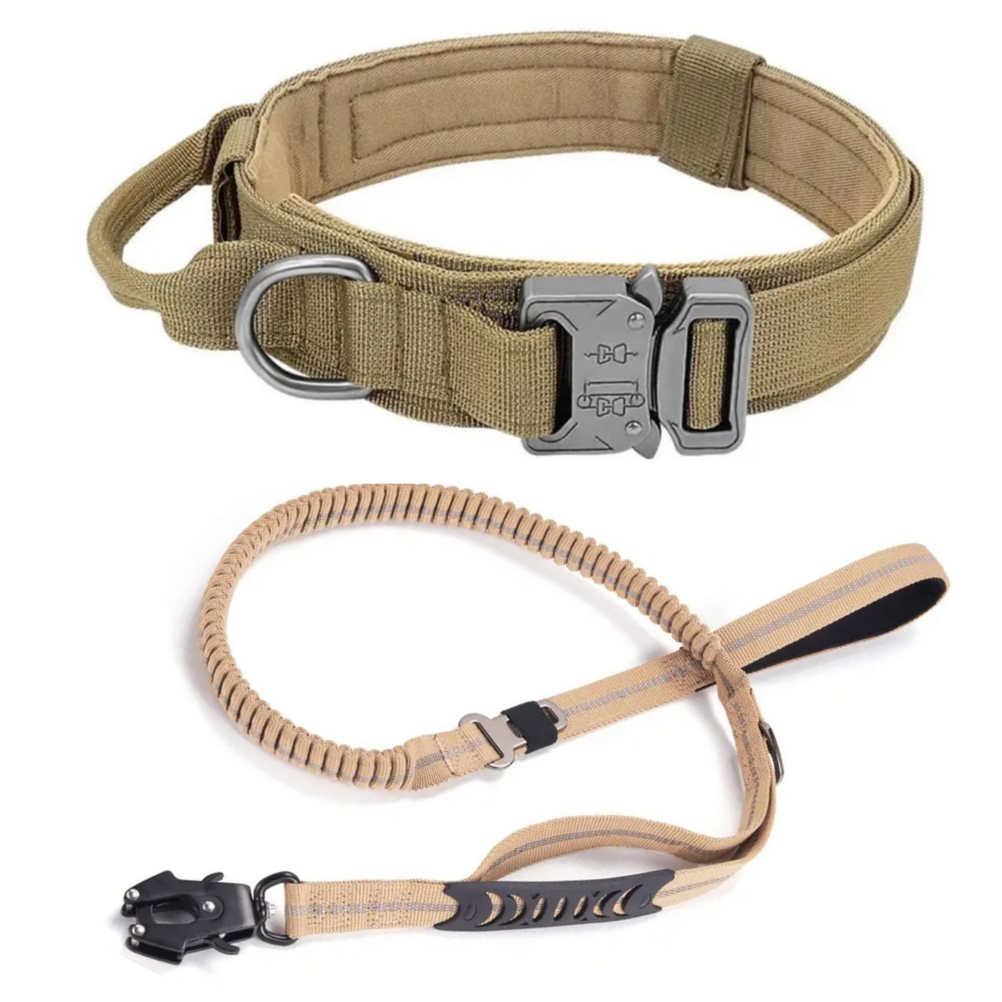 corra para perro PREMIUM con collar táctico hebilla metálica de liberación rápida