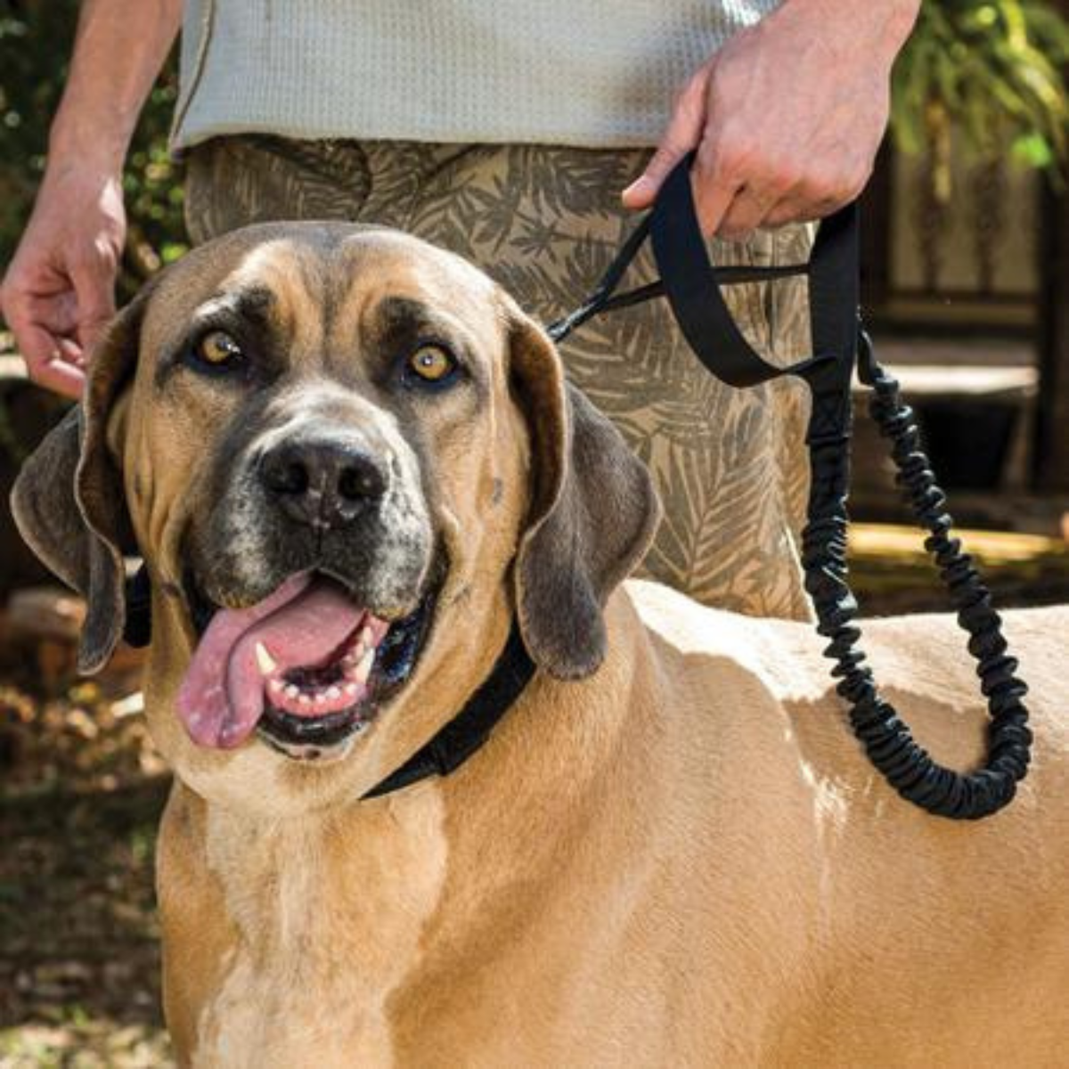 collar con correa de alta calidad para perro grande y mediano táctico militar