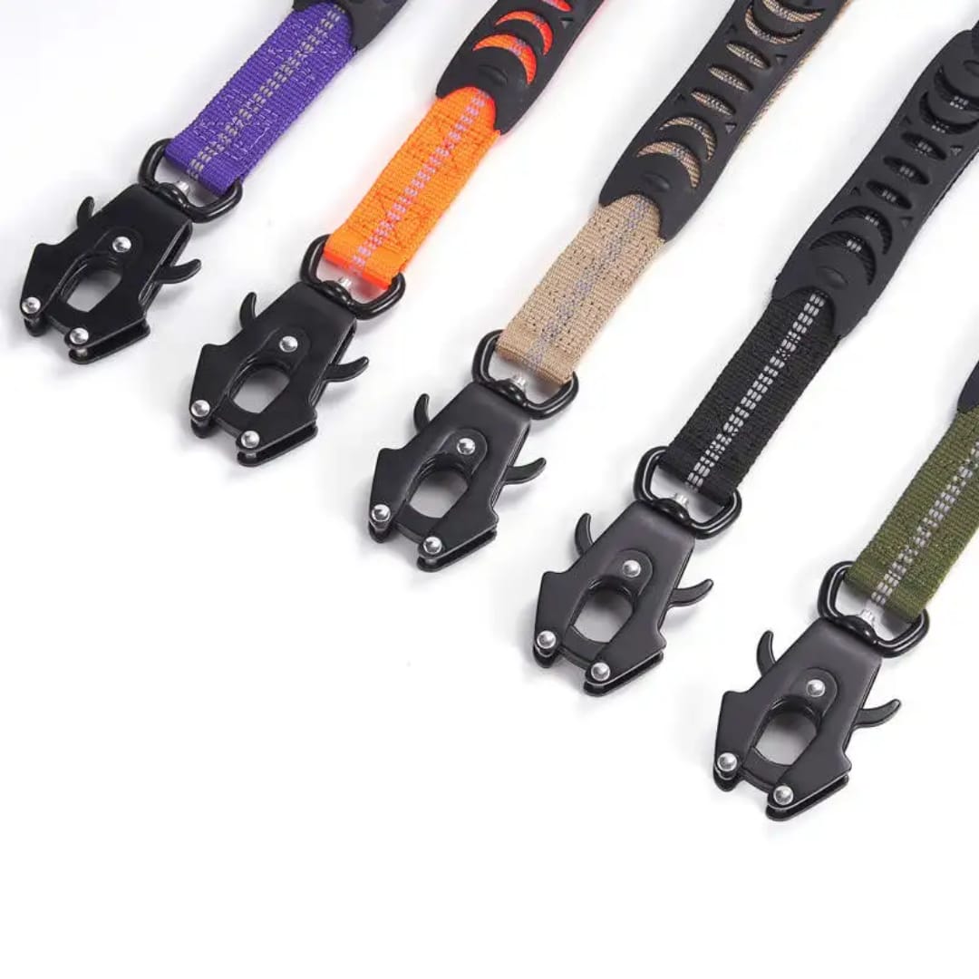 Correa para perro PREMIUM de nylon - Correa antitirones de entrenamiento para perro