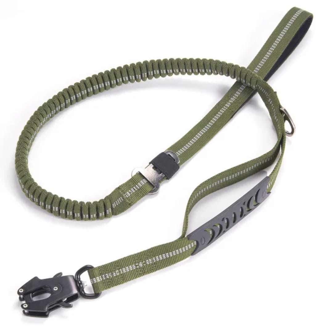 Correa para perro PREMIUM de nylon - Correa antitirones de entrenamiento para perro