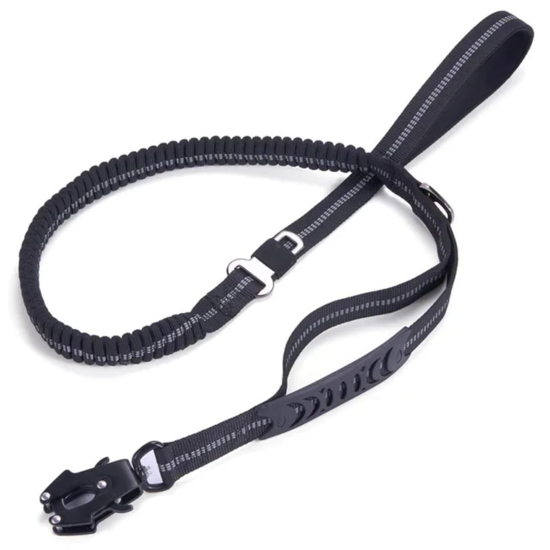 Correa para perro PREMIUM de nylon - Correa antitirones de entrenamiento para perro
