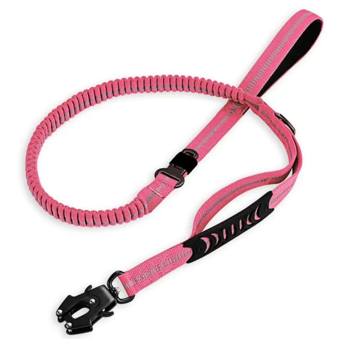 Correa para perro PREMIUM de nylon - Correa antitirones de entrenamiento para perro