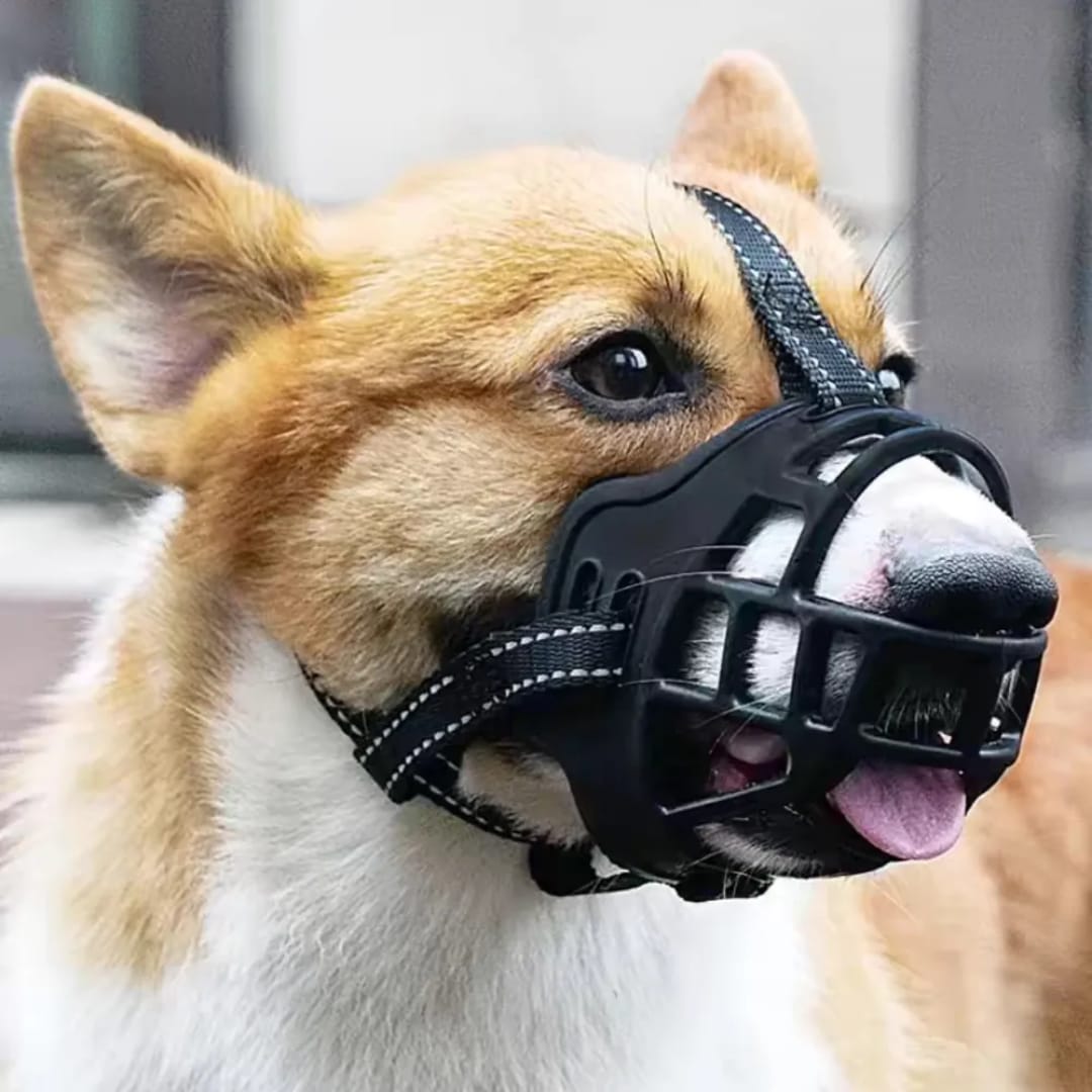 Bozal de Caucho Natural para Perros | Cómodo, Resistente y Seguro