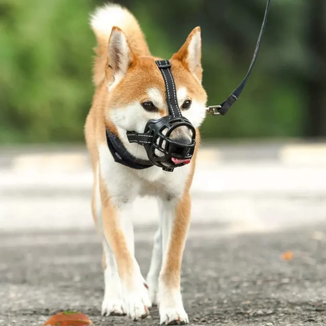 Bozal de Caucho Natural para Perros | Cómodo, Resistente y Seguro
