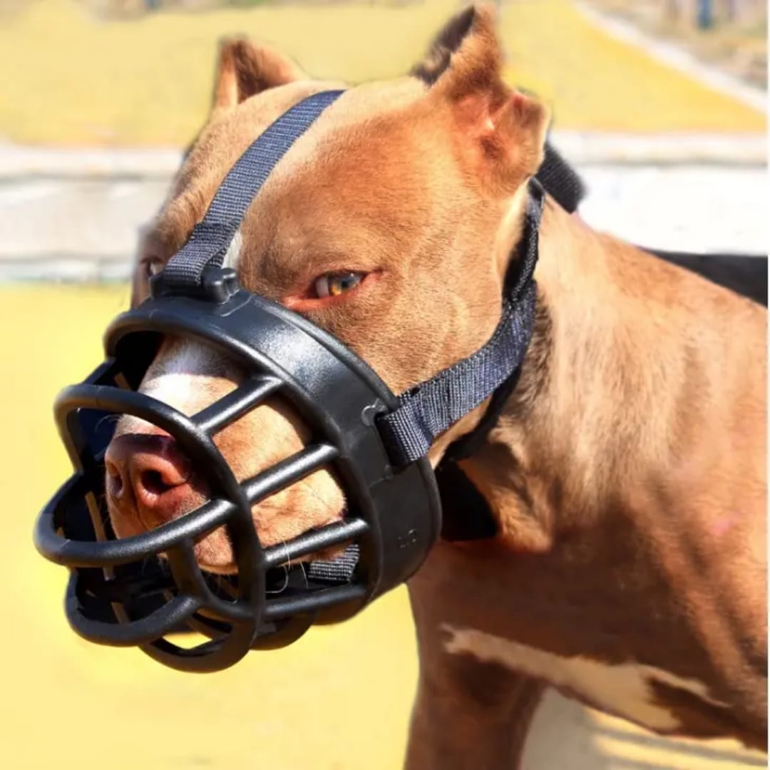 Bozal de Caucho Natural para Perros | Cómodo, Resistente y Seguro