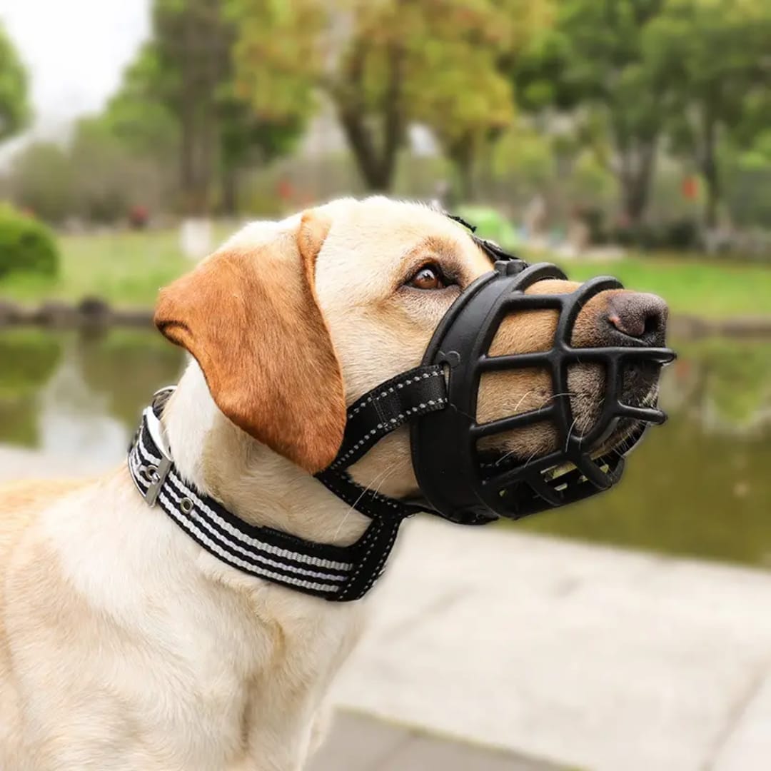Bozal de Caucho Natural para Perros | Cómodo, Resistente y Seguro