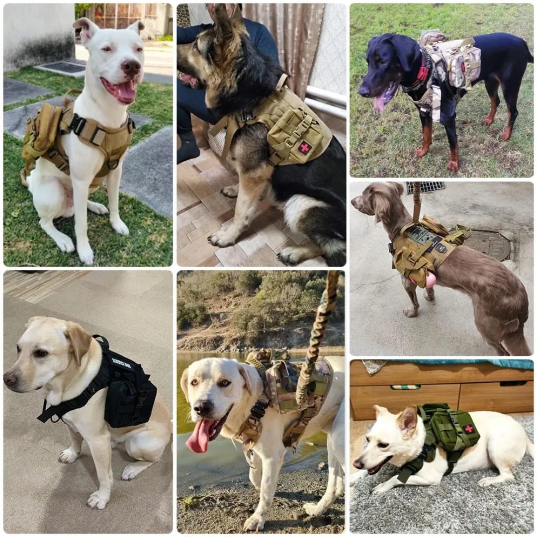 Kit Táctico para Perros Grandes | Arnés, Collar y Correa de Alta Resistencia