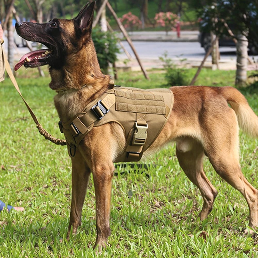 arnés pechera para perro grande y mediano táctico duradero con correa