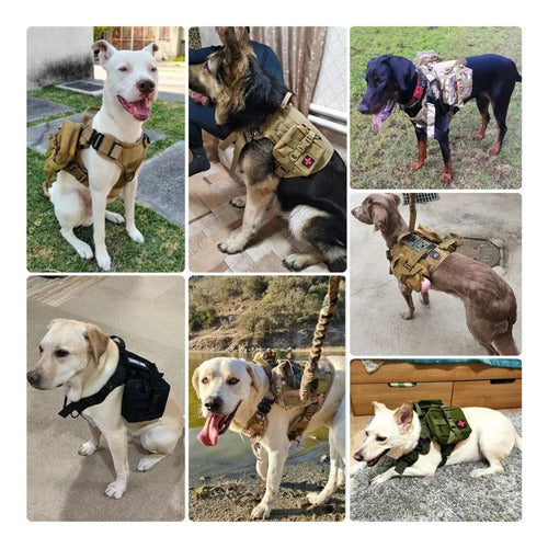 Equipamiento Táctico para Perros