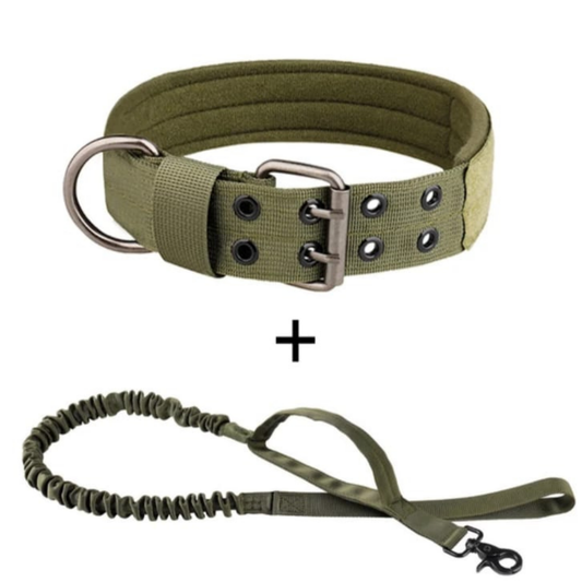 collar con correa de alta calidad para perro grande y mediano táctico militar