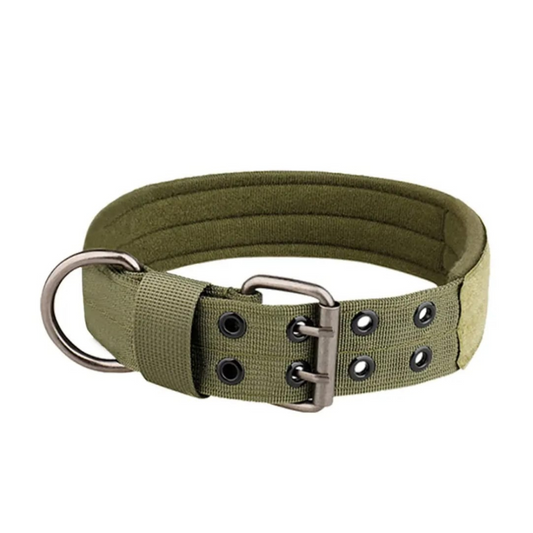 Collar Táctico para Perros con Doble Hebilla Metálica – Nylon Militar 1050D, Ajustable y Transpirable con Sistema MOLLE