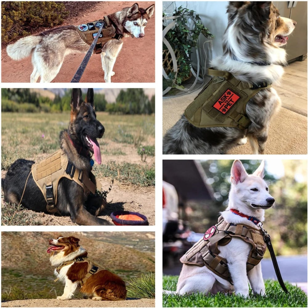 pechera táctica delta para perro | arnés militar premium pechera táctica delta para perro | arnés militar premium