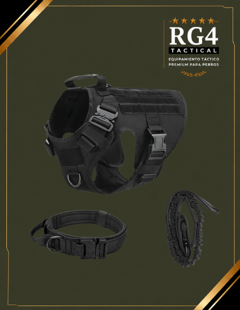 kit premium de entrenamientos