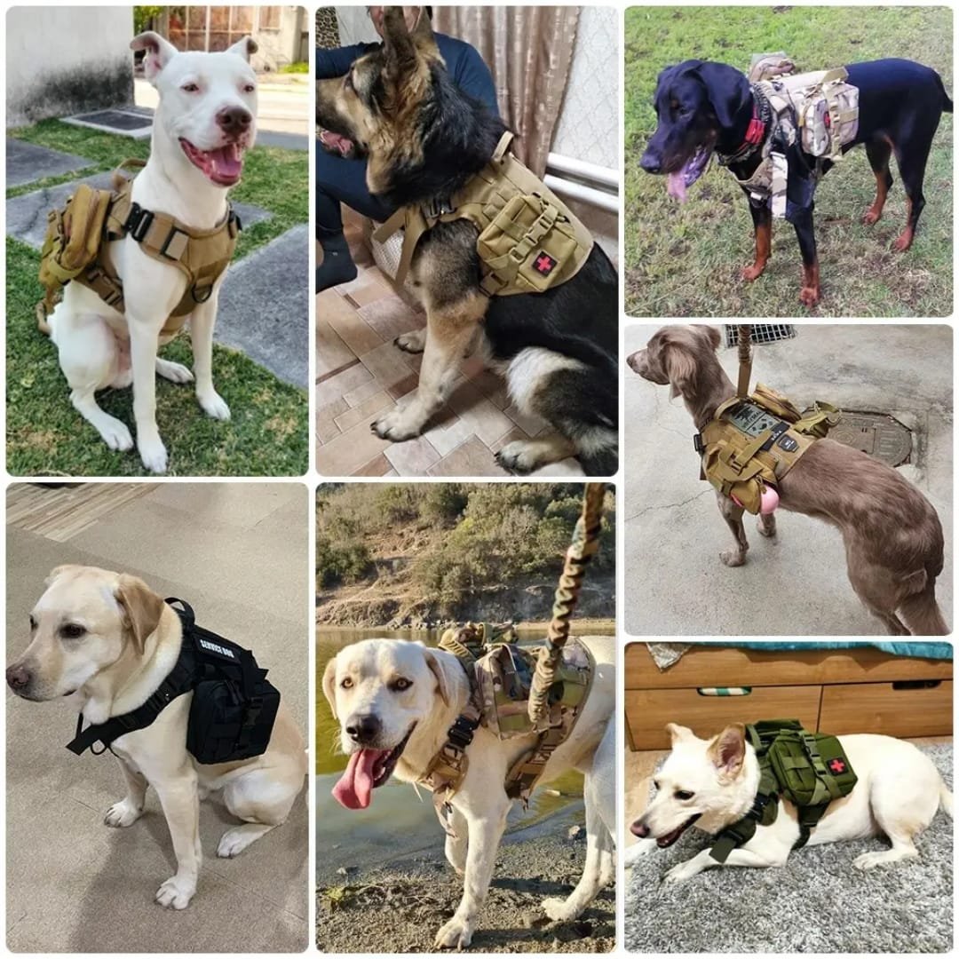 pack táctico dominus pro 6 en 1 para perros | equipamiento premium rg4 tactical pack táctico dominus pro 6 en 1 para perros | equipamiento premium rg4 tactical